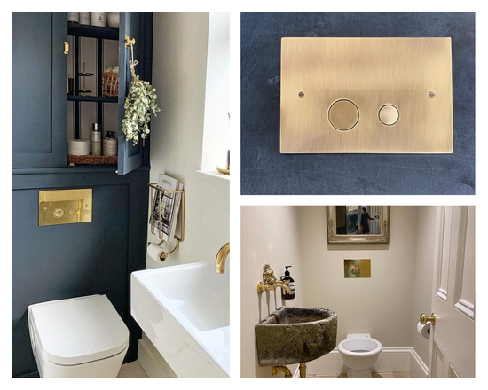 dual flush plate in bathroom
