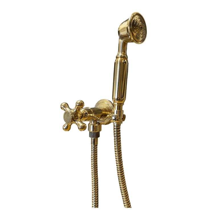 BTS20 Traditional wall mounted hand shower with single handle