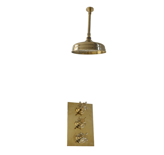 BTS43 Dual control concealed thermostatic ceiling mounted shower