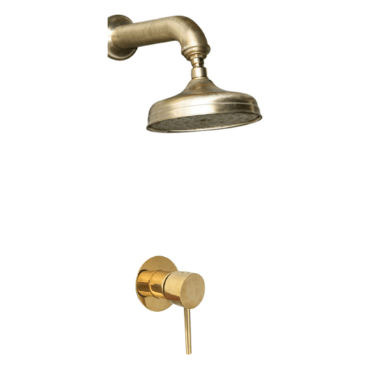 BTS7 Bespoke wall mounted shower with mixer