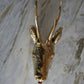 BT27 Deer Head Wall-Mounted Tap
