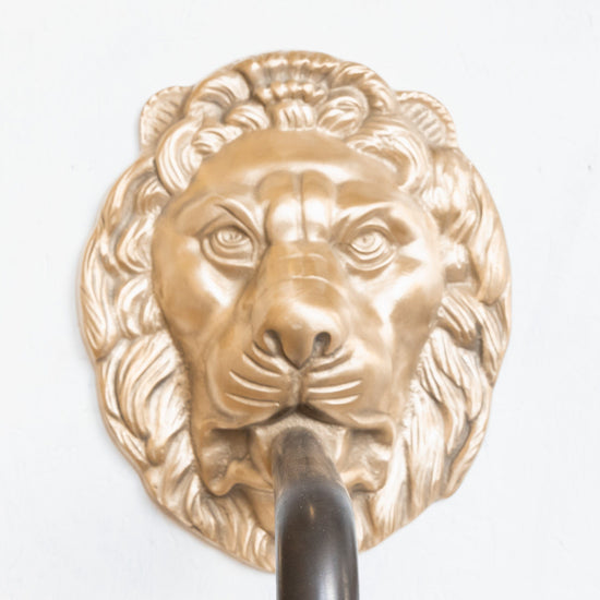 BT66 Wall mounted taps with Regal Lion head