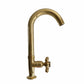 BT75 Traditional single tap cold water with curve swivel spout