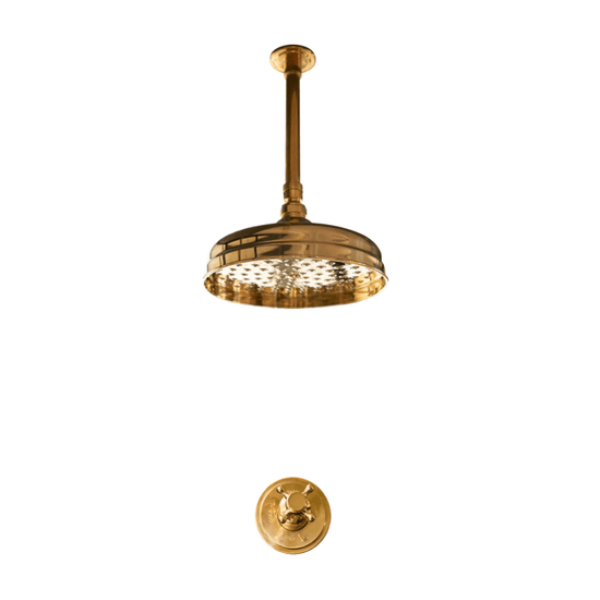 BTS16 Ceiling mounted shower with progressive mixer