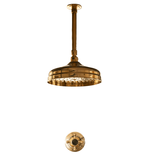 BTS16 Ceiling mounted shower with progressive mixer