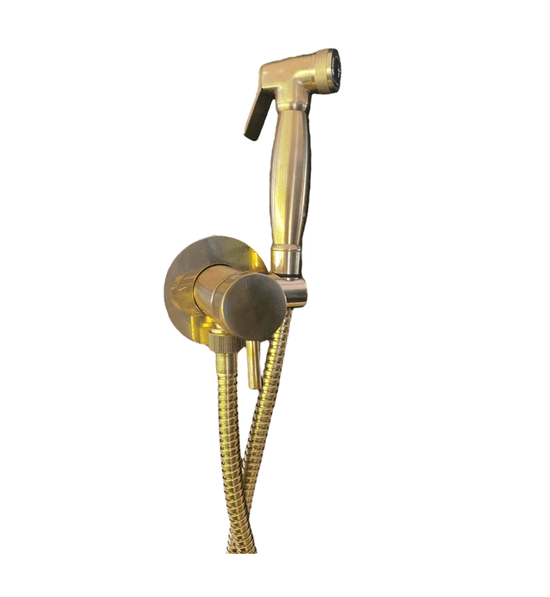 BTS20MS Wall mounted hand shower with mixer and spray