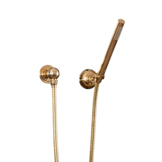BTS23PM Wall mounted modern hand shower with separate outlet