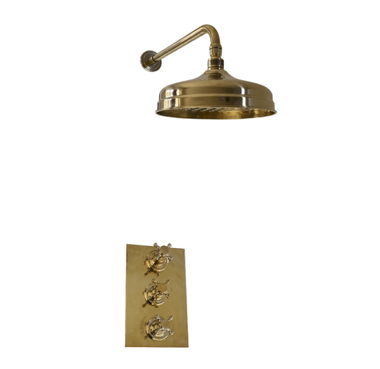 BTS32 Dual control concealed thermostatic wall mounted shower