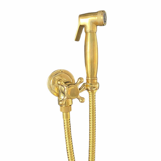 BTS20S Traditional wall mounted hand shower with single handle and spray