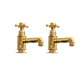 A pair of traditional Francone BT15Z No 2 pillar taps in unlacquered brass, ideal for a vintage bathroom faucet look.