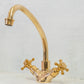Francone BT24 traditional deck-mounted unlacquered brass faucet with a swivel spout.