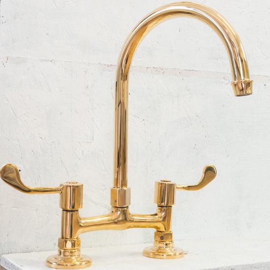 Francone BT49L traditional kitchen faucet in unlacquered brass with long lever handles.
