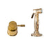A Francone BT52 solid brass deck-mounted mixer tap and matching pull-out spray faucet.