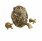 Traditional Francone BT66 solid brass wall-mounted faucet featuring an ornamental regal lion head.