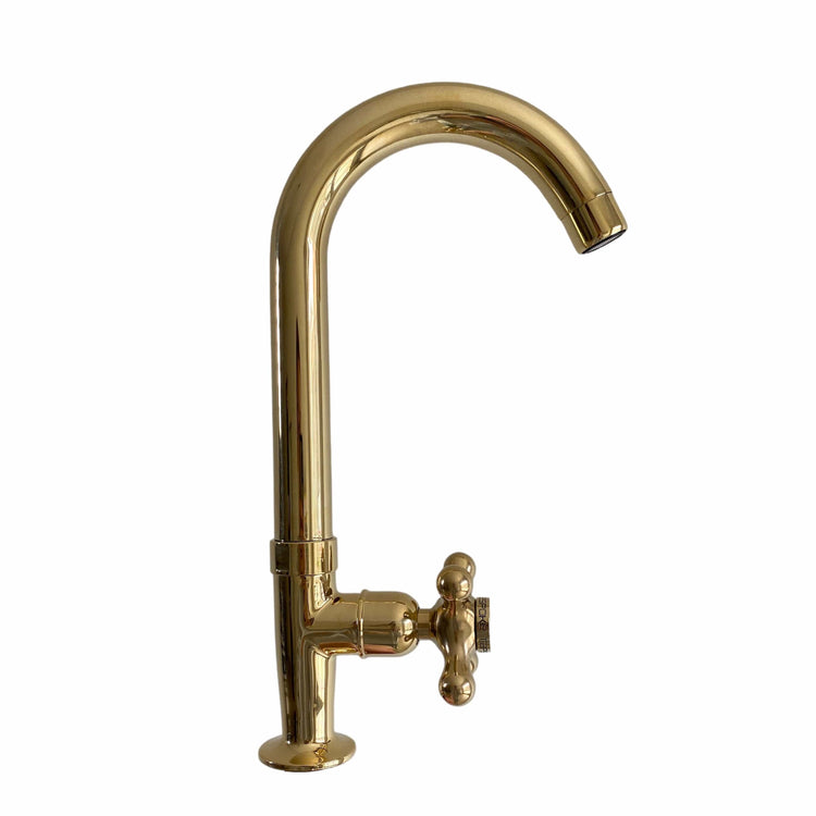 Francone BT75 traditional deck-mounted single cold water brass faucet with a curved swivel spout.