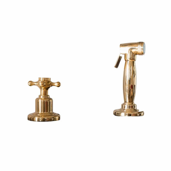 Francone BTA22 traditional solid brass deck-mounted pull-out kitchen spray and faucet handle.