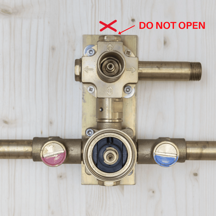 Close-up detail of the solid brass Francone BTS14 concealed thermostatic shower valve mechanism.