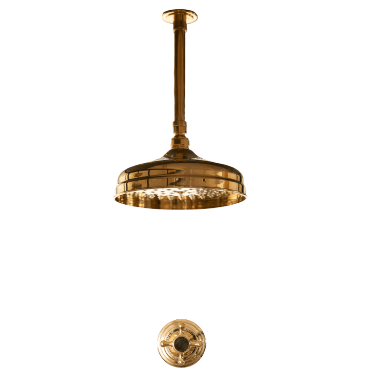 Francone BTS16 traditional ceiling-mounted shower set with a progressive mixer in unlacquered brass.