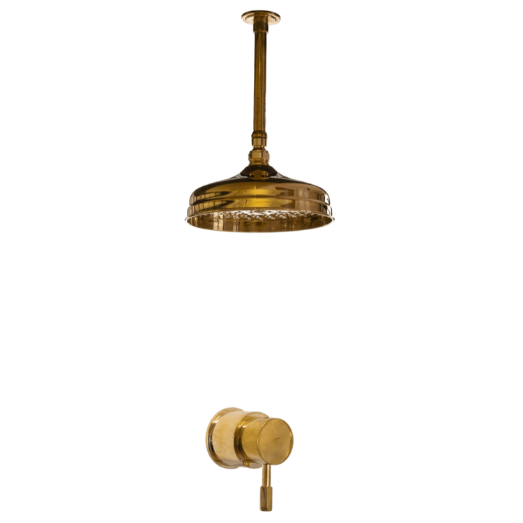 Francone BTS17 unlacquered brass ceiling mounted shower set with single-lever mixer handle for traditional bathrooms.