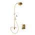 The Francone BTS18 unlacquered brass concealed thermostatic shower with an arch column and hand shower.