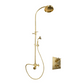 The Francone BTS18 unlacquered brass concealed thermostatic shower with an arch column and hand shower.