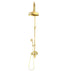 Francone BTS2 traditional thermostatic column shower and hand shower in unlacquered brass for luxury bathrooms.