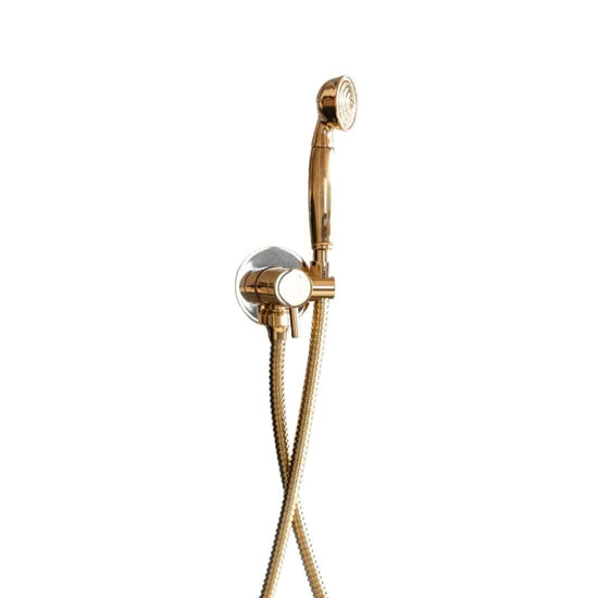 An unlacquered brass Francone BTS20M wall-mounted handheld shower and mixer set for luxury bathrooms.
