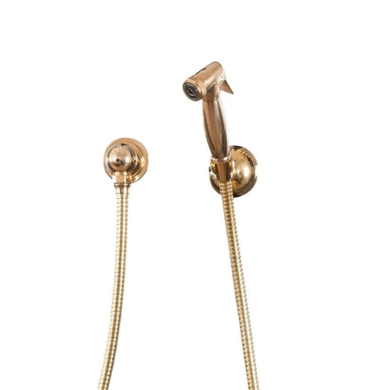 Francone BTS23PS wall-mounted hand shower with separate wall outlet, handcrafted in solid brass.