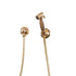 Francone BTS23PS wall-mounted hand shower with separate wall outlet, handcrafted in solid brass.