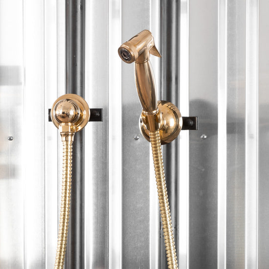 Francone BTS23PS wall-mounted hand shower and separate spray outlet in solid brass.