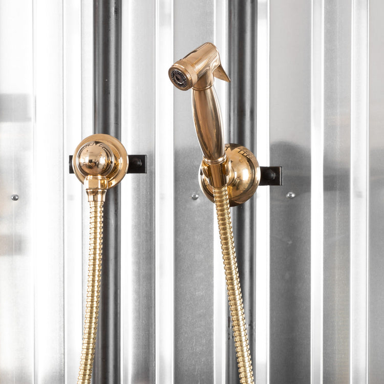 Francone BTS23PS wall-mounted hand shower and separate spray outlet in solid brass.