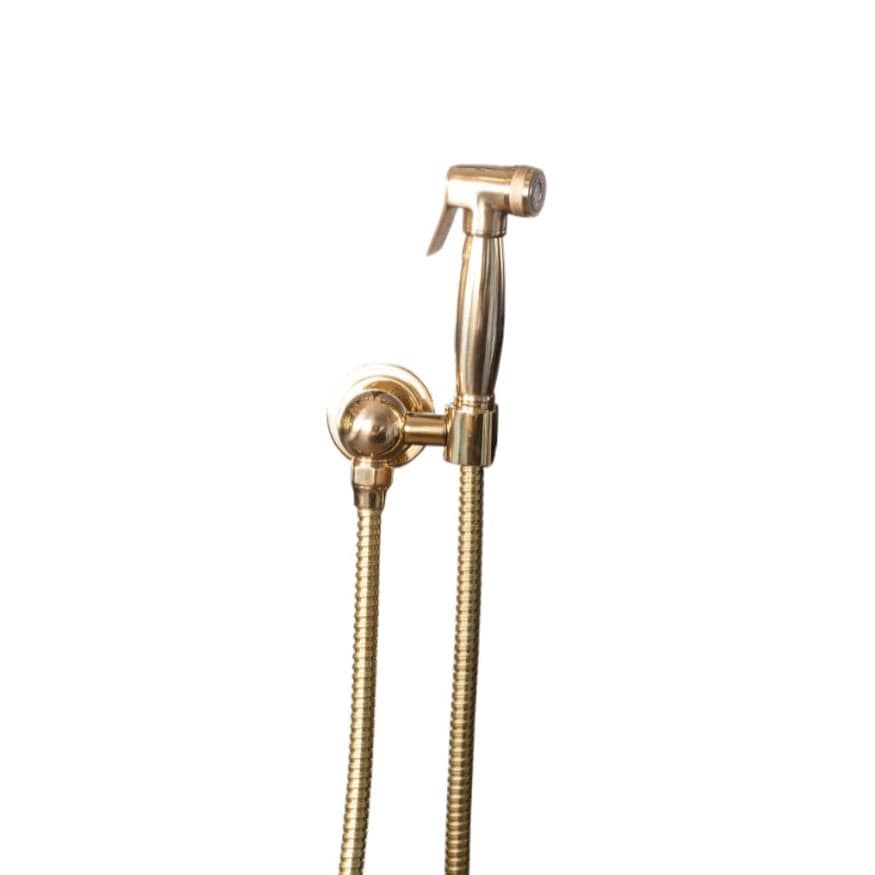 A traditional Francone BTS23S wall-mounted hand shower with spray, crafted in solid unlacquered brass.