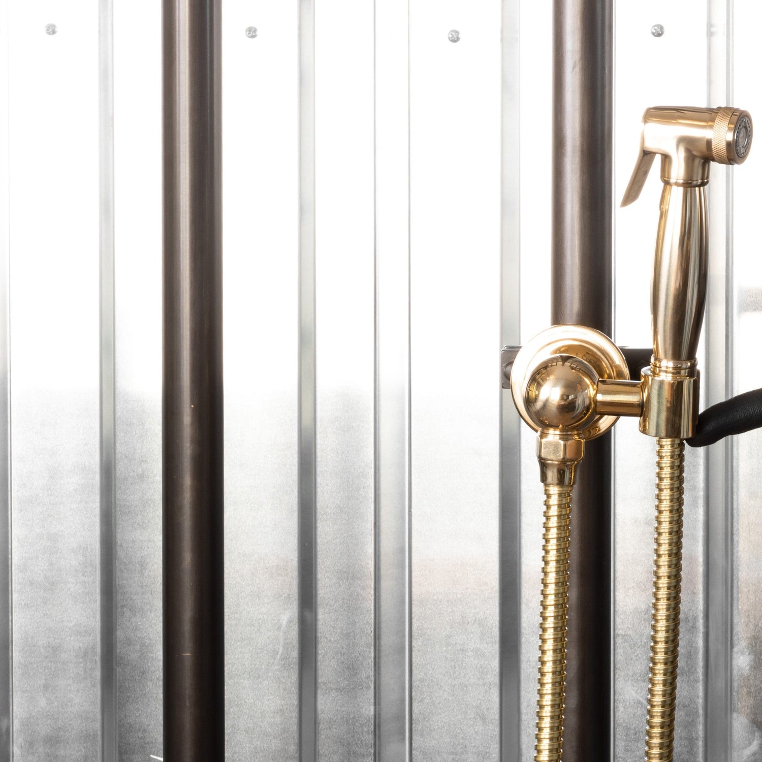 Francone BTS23S solid brass wall-mounted hand shower with spray, shown in a detailed close-up.