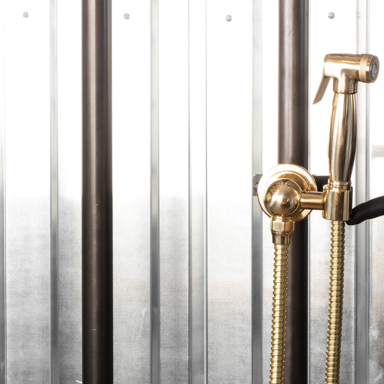 Francone BTS23S solid brass wall-mounted hand shower with spray, shown in a detailed close-up.