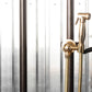 Francone BTS23S solid brass wall-mounted hand shower with spray, shown in a detailed close-up.