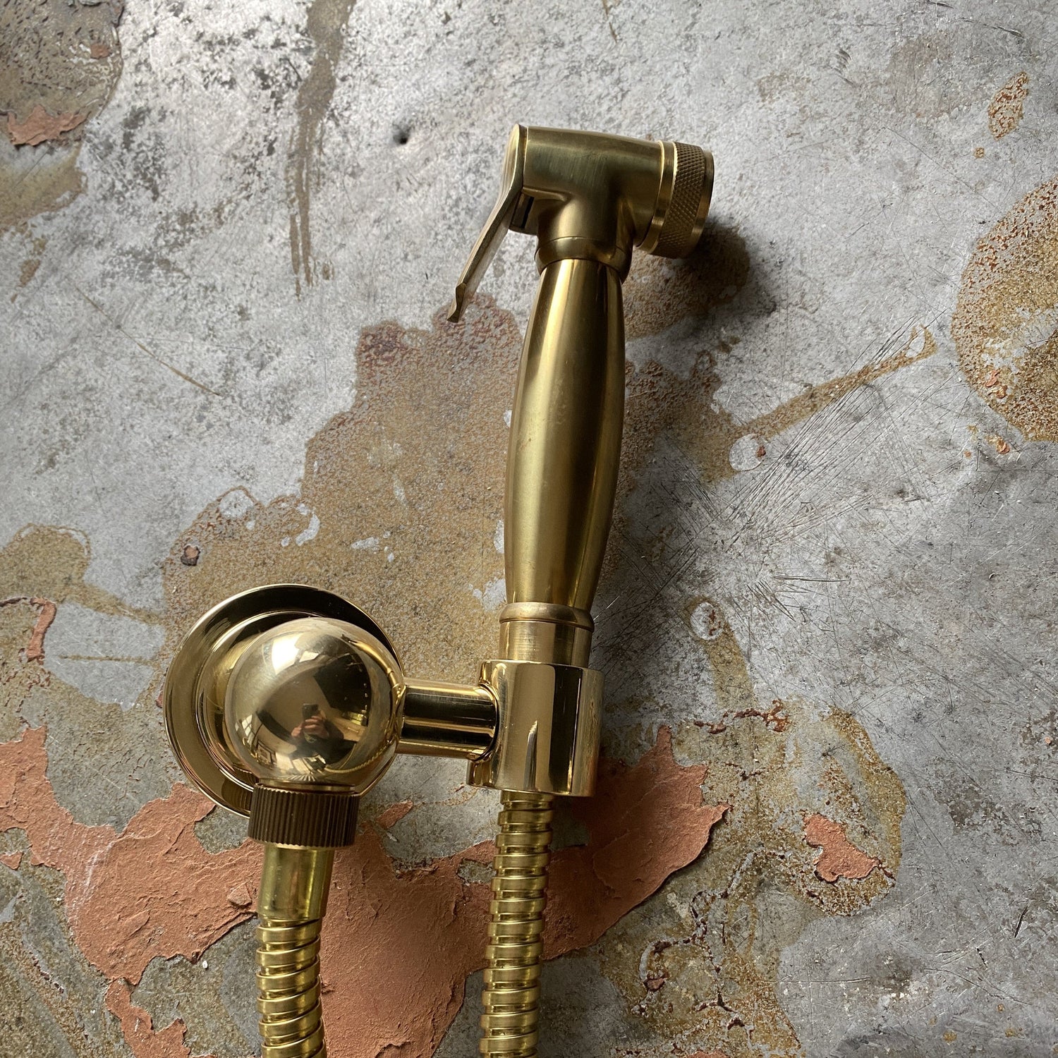 Francone BTS23S wall mounted hand-held shower spray bidet in solid brass.