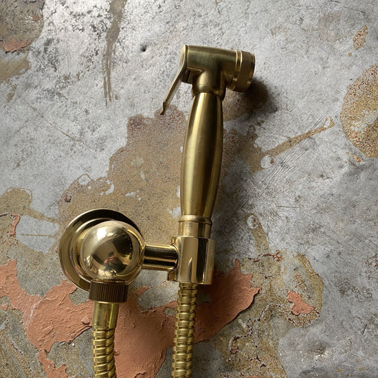 Francone BTS23S wall mounted hand-held shower spray bidet in solid brass.