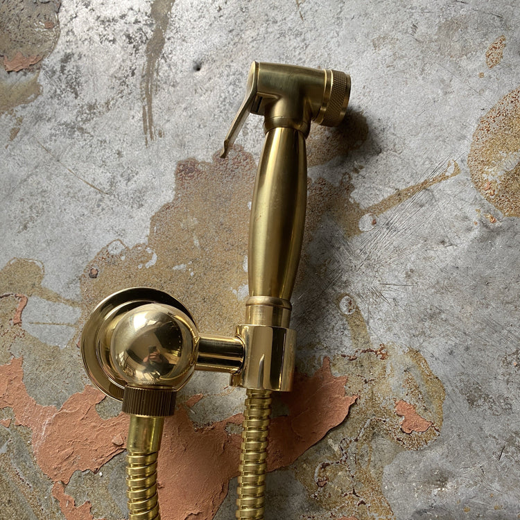 Francone BTS23S wall mounted hand-held shower spray bidet in solid brass.