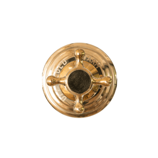 A top-down detail of the solid brass Francone BTS31 progressive shower mixer faucet handle.