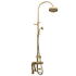 Francone BTS3D unlacquered brass exposed deck mounted thermostatic column shower with bath filler.