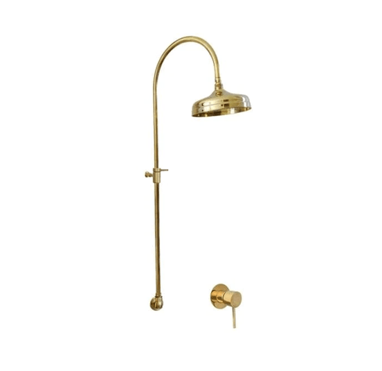 Francone BTS46 solid brass column shower with a mixer control in an unlacquered brass finish.