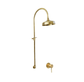 Francone BTS46 solid brass column shower with a mixer control in an unlacquered brass finish.
