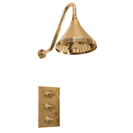 Francone BTS53 traditional thermostatic wall-mounted shower in unlacquered brass with a classic bell showerhead.