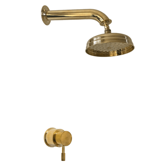 Traditional Francone BTS7 wall-mounted bathroom shower head and mixer faucet in unlacquered brass.