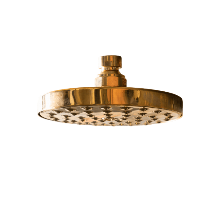 A Francone BTSH circular solid brass shower head, showcasing a polished finish for luxury bathrooms.