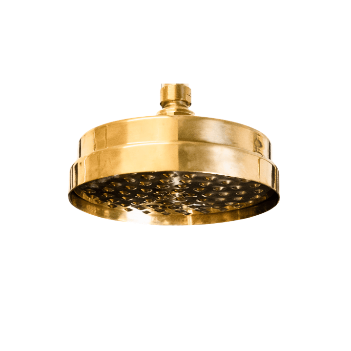Traditional Francone BTSH circular solid brass shower head in an unlacquered brass finish.