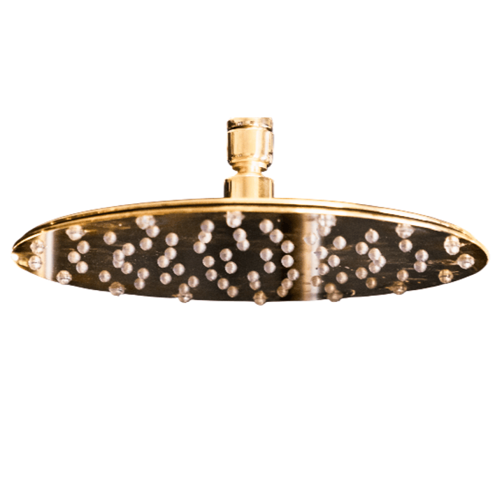 A slim, circular Francone BTSH solid brass shower head, designed for luxury bathroom shower installations.