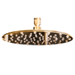 A slim, circular Francone BTSH solid brass shower head, designed for luxury bathroom shower installations.