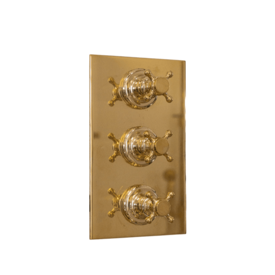 Traditional Francone BTST3 unlacquered brass triple control thermostatic shower valve plate.