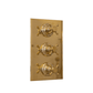 Traditional Francone BTST3 unlacquered brass triple control thermostatic shower valve plate.